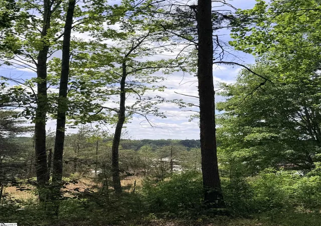 Photo 9 of Land for sale at 280 Sparks Ln, Pickens, SC 29671 | MLS# 1592432 | Listing updated on 2026-09-07