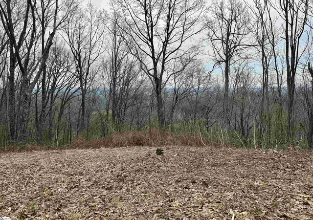 1st image of 206 Eagle Rock Rd, Landrum, SC 29356 | MLS# 1582639