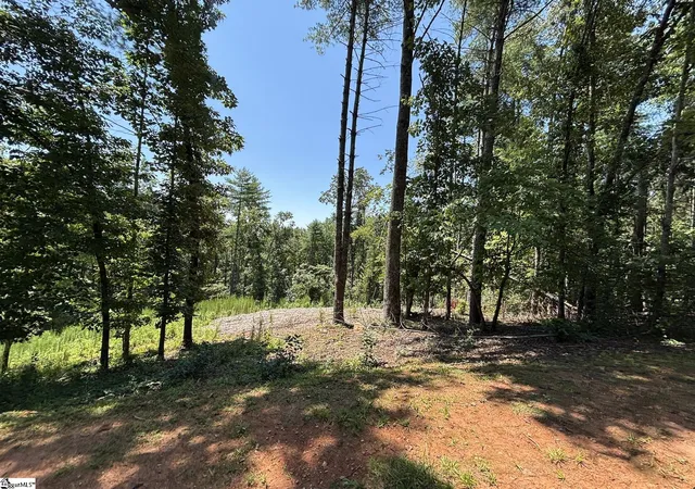Photo 3 of Land for sale at 111 Sweetshrub Wy, Sunset, SC 29685 | MLS# 1599936 | Listing updated on 2026-08-06