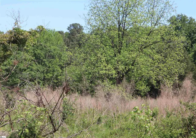 Photo 3 of Land for sale at 0 Old Canaan Tract 6 Rd, Spartanburg, SC 29306 | MLS# 1599958 | Listing updated on 2026-08-15