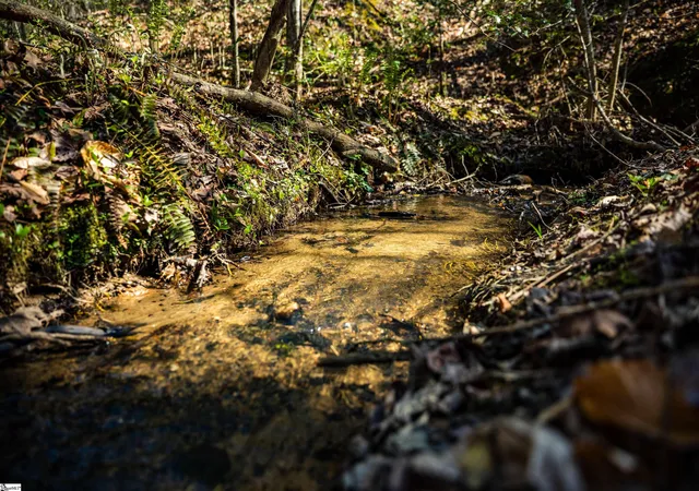Photo 2 of Sale Pending at 00 Marys Mountain Rd, Easley, SC 29640 | MLS# 1588330 | Listing updated on 2026-09-22