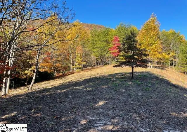 3rd image of 00 Birkdale Dr, Mill Spring, NC 28756 | MLS# 1541296
