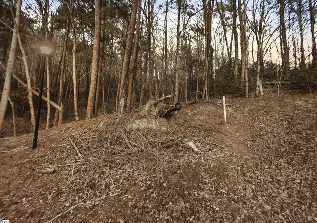 12th image of 0 Hidden Glory Dr #LOT 17, Landrum, SC 29356 | MLS# 1597027