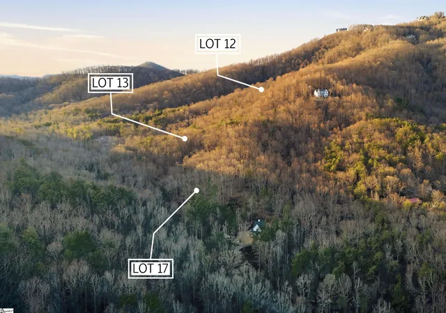 5th image of 0 Hidden Glory Dr #LOT 17, Landrum, SC 29356 | MLS# 1597027