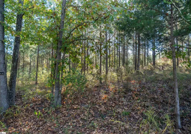 Photo 2 of Land for sale at 735 Gwinn Mill Rd, Pauline, SC 29374 | MLS# 1572483 | Listing updated on 2026-04-03
