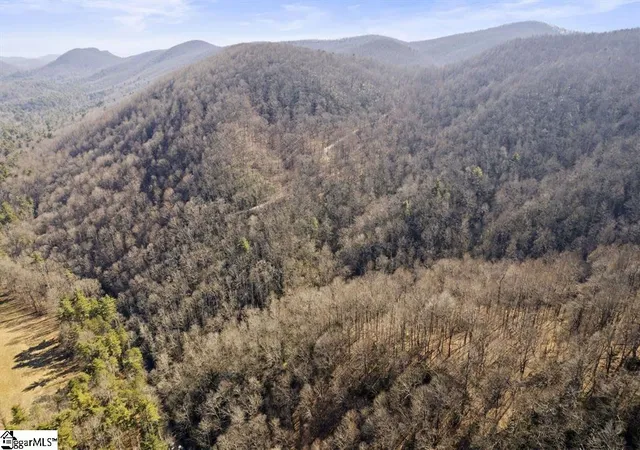 Photo 3 of Land for sale at 3772 Bear Paw Ridge Rd, Zirconia, NC 28790 | MLS# 1557988 | Listing updated on 2026-04-30