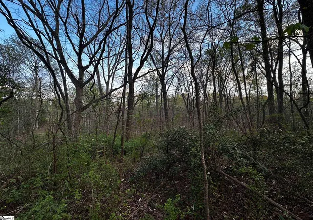 Photo 3 of Land for sale at 101 Sugarmill Ln, Moore, SC 29369 | MLS# 1587709 | Listing updated on 2026-08-07