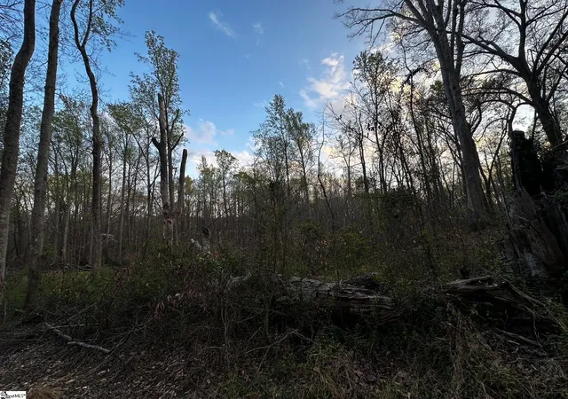 Photo 4 of Land for sale at 101 Sugarmill Ln, Moore, SC 29369 | MLS# 1587709 | Listing updated on 2026-08-07