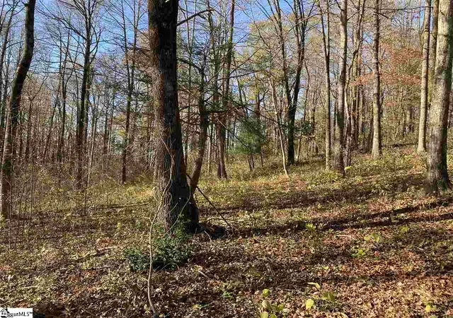 Photo 3 of Land for sale at 194 Catnip Trl, Landrum, SC 29356 | MLS# 1431454 | Listing updated on 2026-09-18