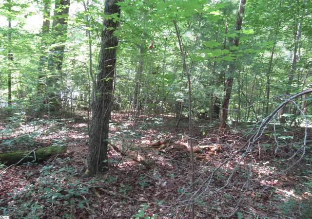 Photo 3 of Land for sale at 00 Gauley Falls Rd #Lot 15 Gauley Falls, Pickens, SC 29671 | MLS# 1598484 | Listing updated on 2026-07-22