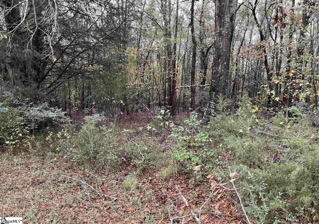 Photo 3 of Land for sale at 01 Evergreen Church Rd, Starr, SC 29684 | MLS# 1566351 | Listing updated on 2026-08-25