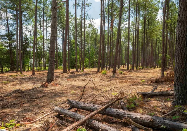 18th image of 00 Cheek Rd #Lot 12, Gray Court, SC 29645 | MLS# 1597440