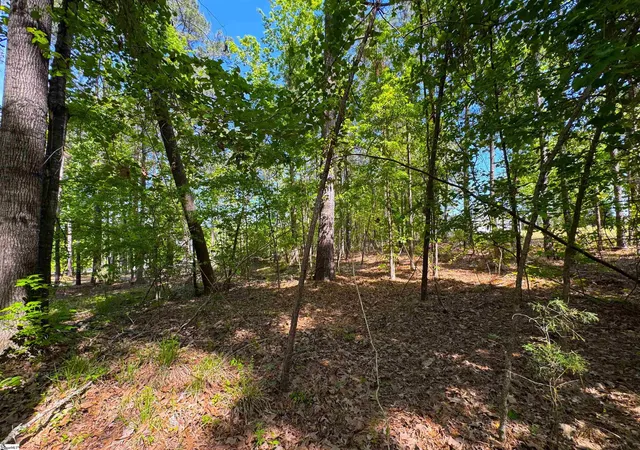 Photo 17 of Land for sale at 430 Herrington Dr, Cross Hill, SC 29332 | MLS# 1589034 | Listing updated on 2026-05-19