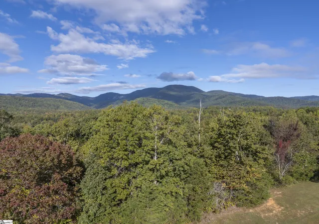 4th image of 100 Pardo Rd, Landrum, SC 29356 | MLS# 1572142