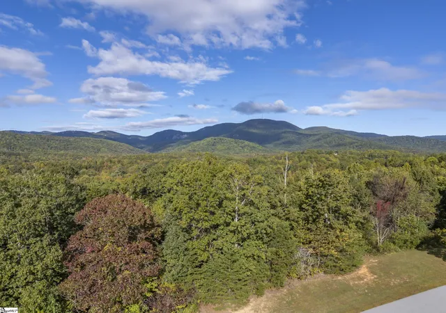 5th image of 100 Pardo Rd, Landrum, SC 29356 | MLS# 1572142