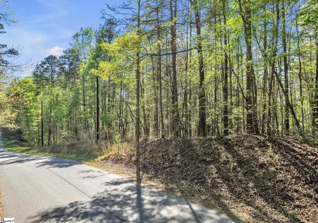 Photo 1 of Land for sale at 00 Pinewood Rd, Spartanburg, SC 29302 | MLS# 1587587 | Listing updated on 2026-08-18