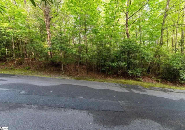 Homes for sale in Cleveland, SC | 113 Columbine Wy, Cleveland, SC 29635 | MLS# 1593144