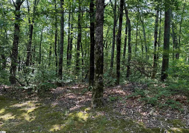 Land for sale at 00 Lacey Fern Wy, Landrum, SC 29356 | MLS# 1598321