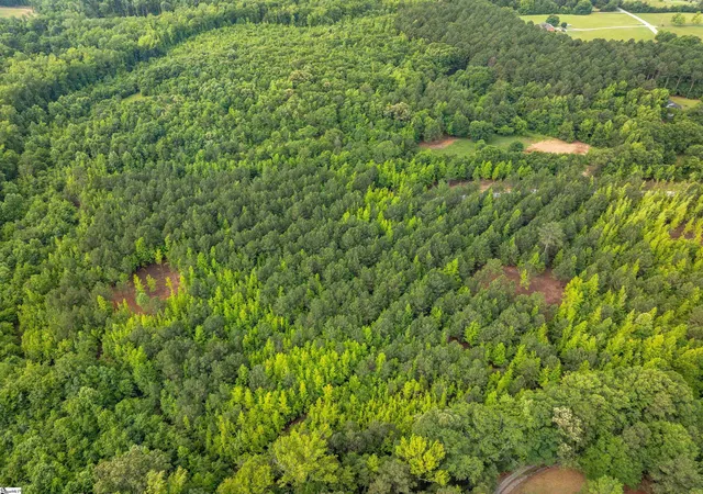 Photo 4 of Sale Pending at 00 Terry Rd #Lot 3, Fountain Inn, SC 29644 | MLS# 1594631 | Listing updated on 2026-08-12