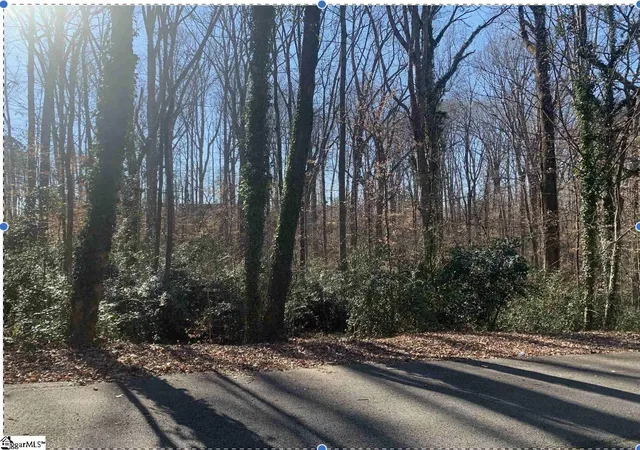 Photo 1 of Land for sale at Forest Lane Dr, Gaffney, SC 29340 | MLS# 1553094 | Listing updated on 2025-10-30
