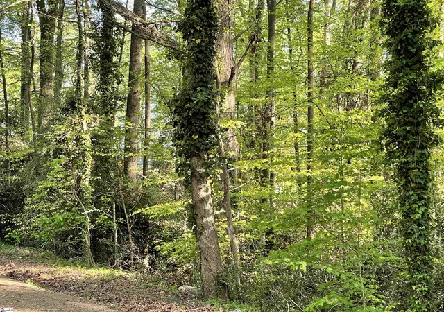 Photo 3 of Land for sale at Forest Lane Dr, Gaffney, SC 29340 | MLS# 1553094 | Listing updated on 2025-10-30
