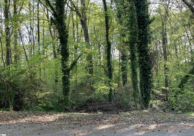 Photo 3 of Land for sale at Forest Lane Dr, Gaffney, SC 29340 | MLS# 1553094 | Listing updated on 2025-10-30