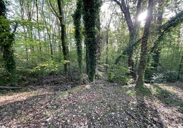 Photo 4 of Land for sale at Forest Lane Dr, Gaffney, SC 29340 | MLS# 1553094 | Listing updated on 2025-10-30