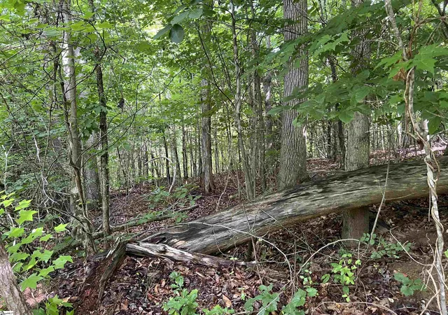 Photo 2 of Land for sale at 00 Burns Rd, Travelers Rest, SC 29690 | MLS# 1593764 | Listing updated on 2026-09-14