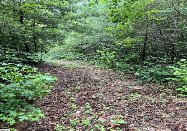 Photo 3 of Land for sale at 00 Burns Rd, Travelers Rest, SC 29690 | MLS# 1593764 | Listing updated on 2026-09-14