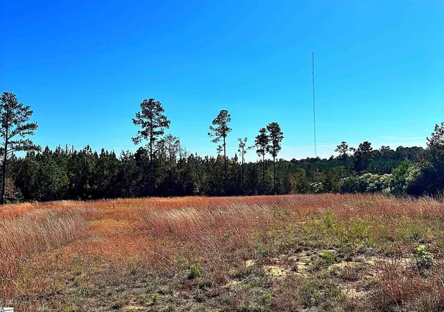 2nd image of 00 Riverfork Rd, Waterloo, SC 29384 | MLS# 1573153