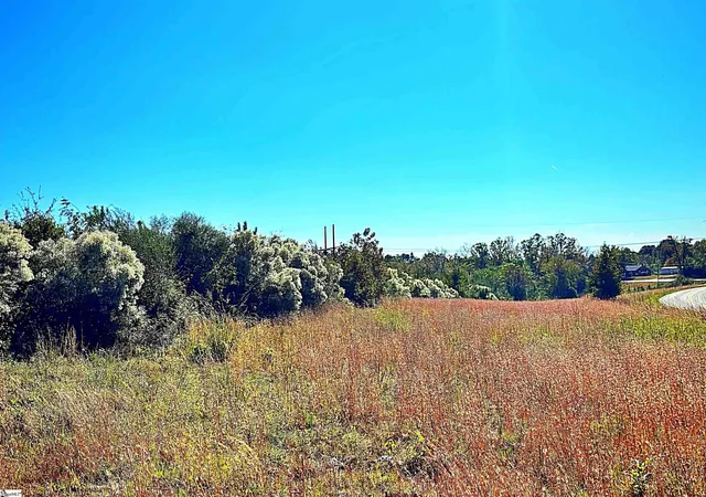 3rd image of 00 Riverfork Rd, Waterloo, SC 29384 | MLS# 1573153