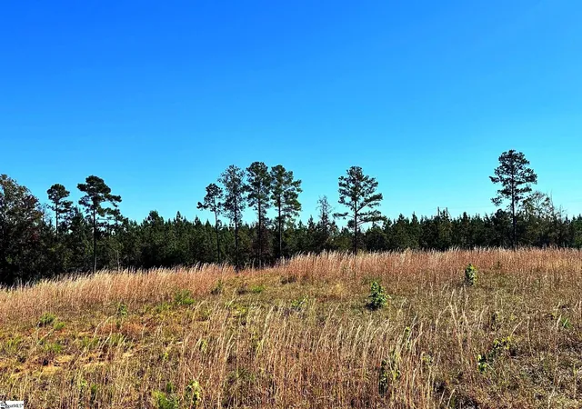 4th image of 00 Riverfork Rd, Waterloo, SC 29384 | MLS# 1573153