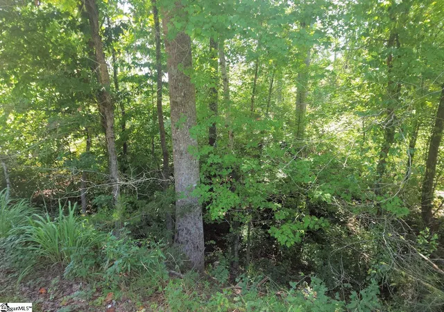 2nd image of (Undisclosed), Enoree, SC 29335 | MLS# 1601237