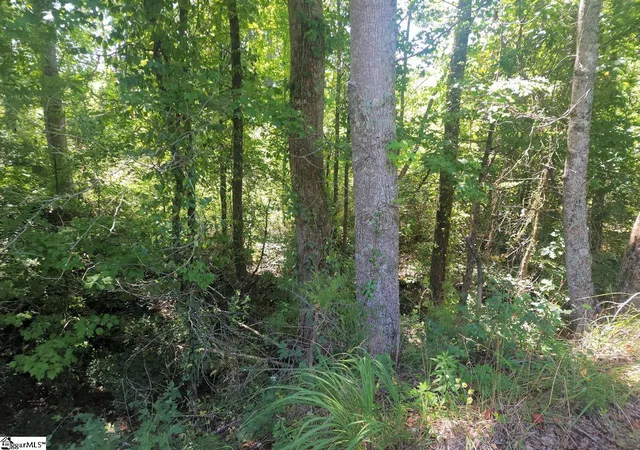 3rd image of (Undisclosed), Enoree, SC 29335 | MLS# 1601237