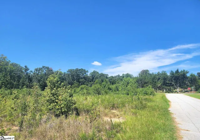5th image of (Undisclosed), Enoree, SC 29335 | MLS# 1601237