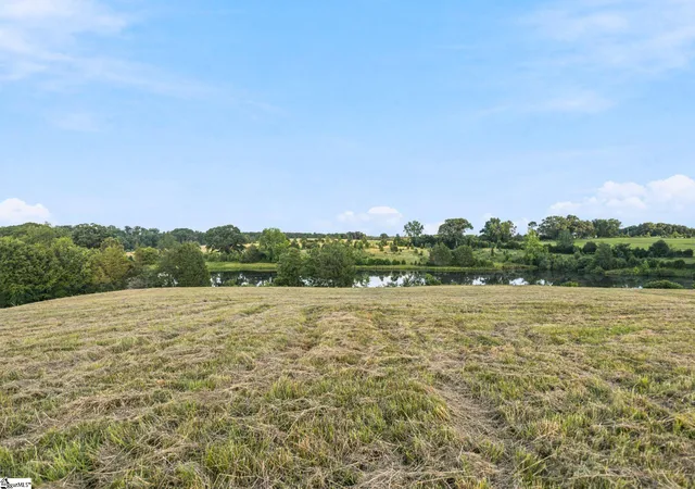 Land for sale at 00 252 Hwy, Ware Shoals, SC 29692 | MLS# 1596759