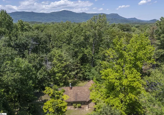 Homes for sale in Tryon, NC | 77 First St, Tryon, NC 28782 | MLS# 1592903