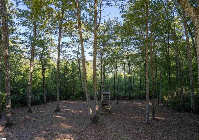 Photo 4 of Land for sale at 905 Mountain Summit Rd, Travelers Rest, SC 29690 | MLS# 1515869 | Listing updated on 2026-01-06