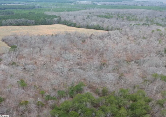 4th image of 00 Pooletown Rd, Laurens, SC 29360 | MLS# 1583329