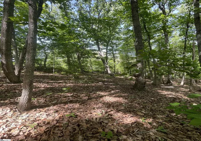 Homes for sale in Taylors, SC | 0 Packs Mountain Ridge Rd, Taylors, SC 29687 | MLS# 1587760