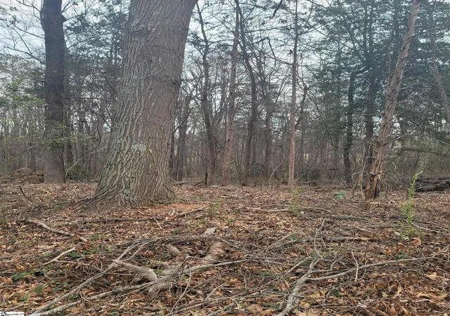 Photo 1 of Land for sale at Thompson Rd, Greenville, SC 29607 | MLS# 1549514 | Listing updated on 2026-09-04