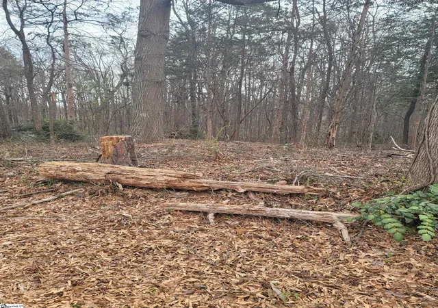 Photo 3 of Land for sale at Thompson Rd, Greenville, SC 29607 | MLS# 1549514 | Listing updated on 2026-09-04