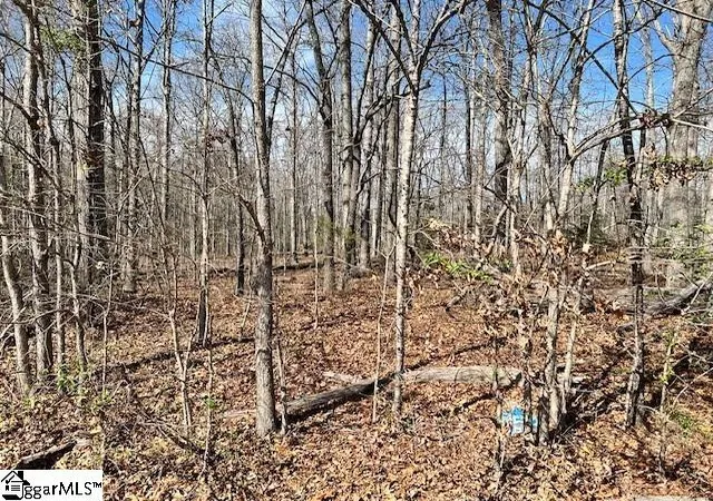 Homes for sale in Pelzer, SC | 131 Katora Ln, Pelzer, SC 29669 | MLS# 1594467