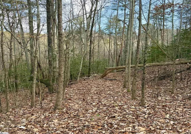 Photo 4 of Land for sale at 91 Roco Trl, Travelers Rest, SC 29690 | MLS# 1576029 | Listing updated on 2026-08-26