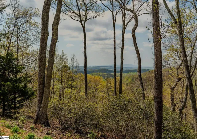 4th image of 202 Eagle Rock Rd, Landrum, SC 29356 | MLS# 1579513