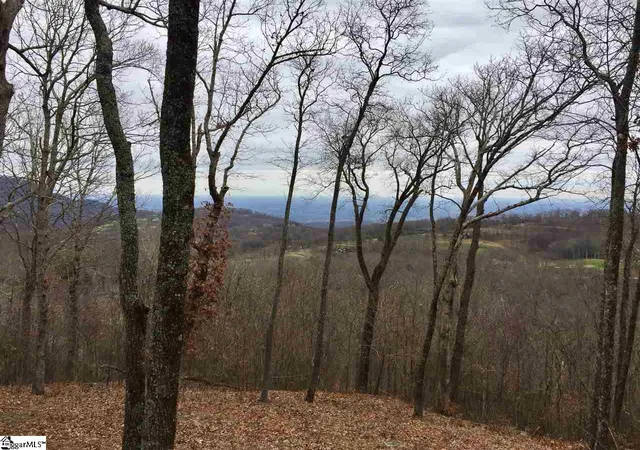 1st image of 215 Yellowroot Ln, Landrum, SC 29356 | MLS# 1427702