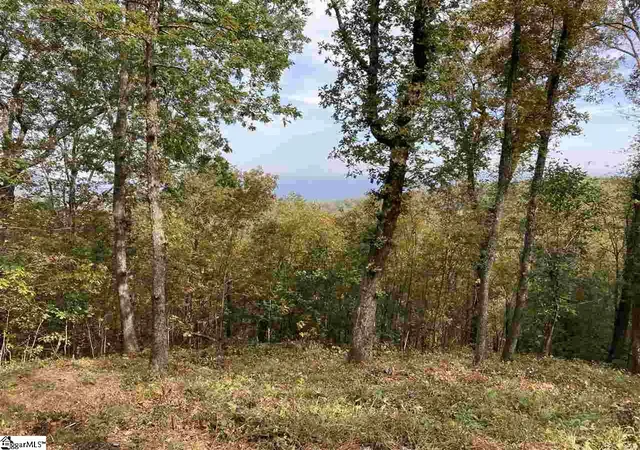 2nd image of 215 Yellowroot Ln, Landrum, SC 29356 | MLS# 1427702