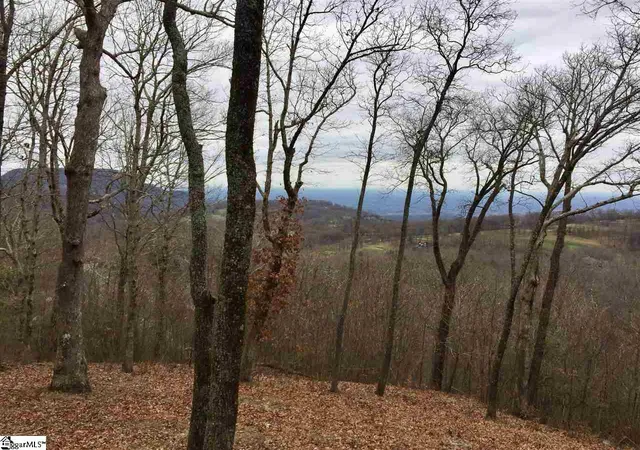 Photo 3 of Land for sale at 215 Yellowroot Ln, Landrum, SC 29356 | MLS# 1427702 | Listing updated on 2026-09-18
