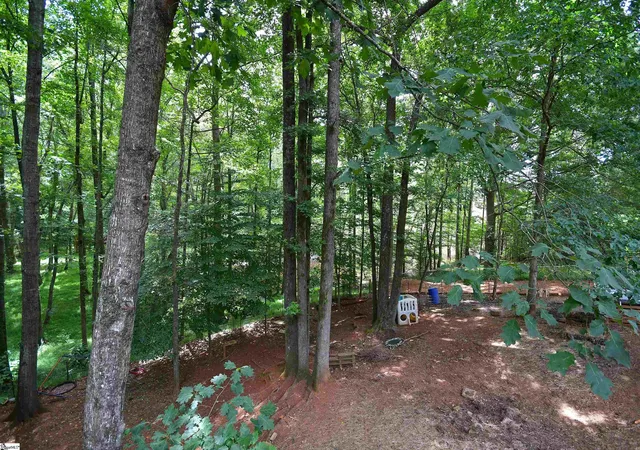 Homes for sale in Wellford, SC | 450 Waspnest Rd, Wellford, SC 29385 | MLS# 1596144