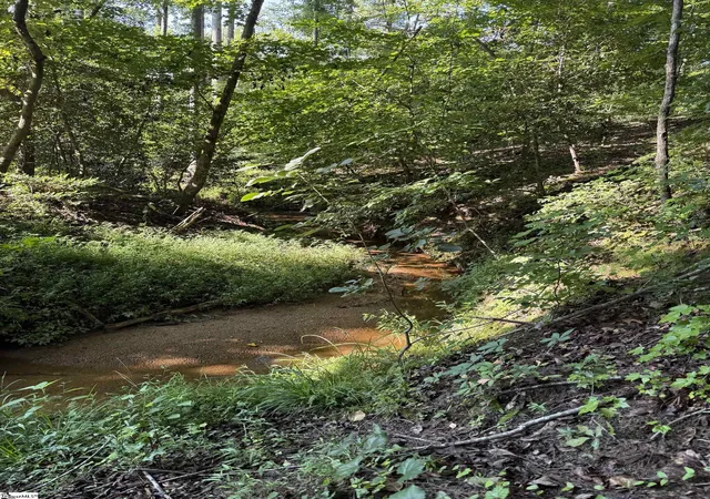 Photo 6 of Land for sale at 0 Joe Leonard Rd, Greer, SC 29651 | MLS# 1601716 | Listing updated on 2026-08-26